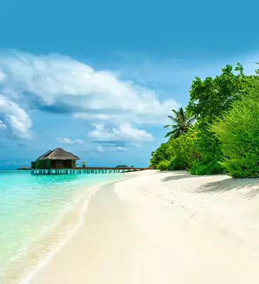 Beach Holidays