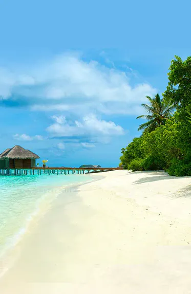 Beach Holidays